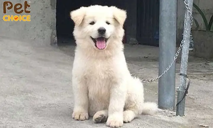 Sức Khỏe Sức Khỏe