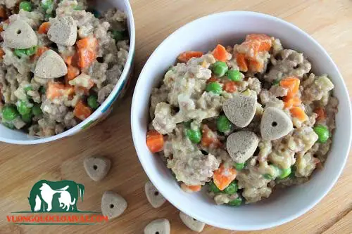 Giai Đoạn 1 – 2 Tháng Đầu Giai Đoạn 1 – 2 Tháng Đầu