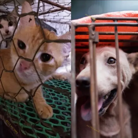 20/09/2021 20/09/2021