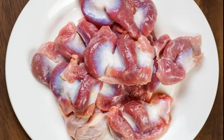 Thực Phẩm Giúp Becgie Đức Phát Triển Toàn Diện Thực Phẩm Giúp Becgie Đức Phát Triển Toàn Diện