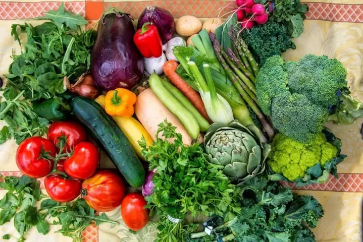 Thực Phẩm Giúp Becgie Đức Phát Triển Toàn Diện Thực Phẩm Giúp Becgie Đức Phát Triển Toàn Diện