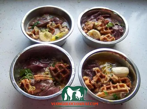 Thức Ăn Cho Chó Becgie Đức