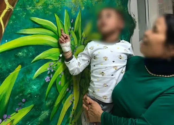 Chó Bị Chấn Thương Đầu