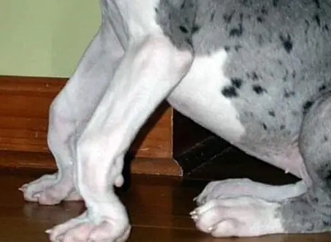 Đặc Điểm Đặc Điểm