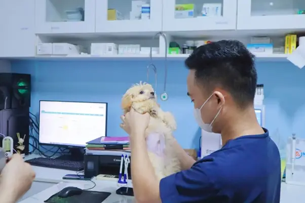 Hoạt Động Quá Mức Trên Bề Mặt Cứng Hoạt Động Quá Mức Trên Bề Mặt Cứng