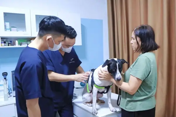 Thay Đổi Hành Vi Thay Đổi Hành Vi