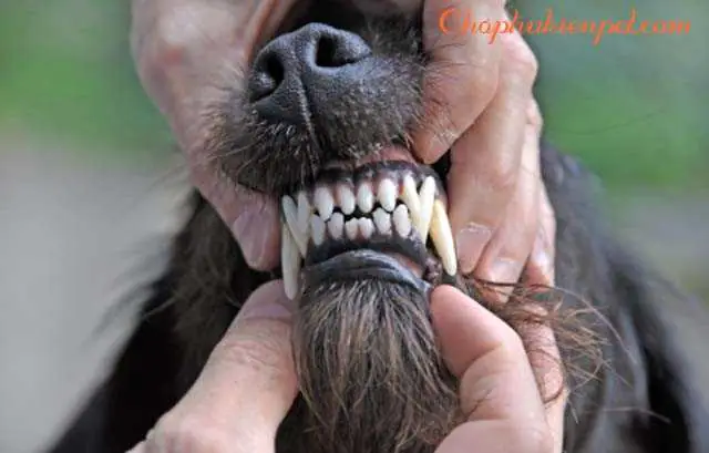 Các Biến Chứng Tiềm Ẩn