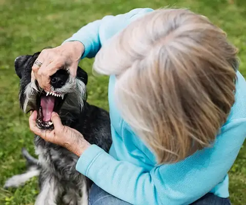 Biểu Hiện Khi Chó Bị Hóc Xương