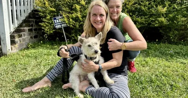 Chó Bị Khủng Hoảng Tinh Thần: Dấu Hiệu, Nguyên Nhân Và Cách Xử Lý