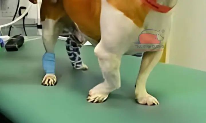 Biện Pháp Phòng Ngừa