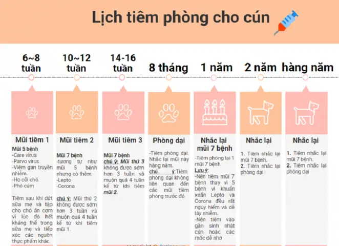 Chi Tiếtlịch Tiêm Phòngcho Chó Chi Tiếtlịch Tiêm Phòngcho Chó