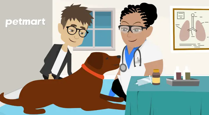 Ai Nên Tiêm Phòng Dại?