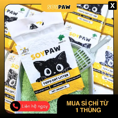 Chó Bị Nghẹt Mũi Thì Phải Làm Sao