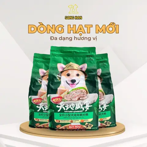 Cách Bổ Sung Dinh Dưỡng Cho Chó Ốm Còi