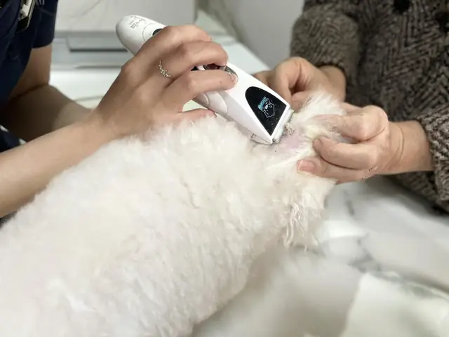 Chăm Sóc Tại Nhà