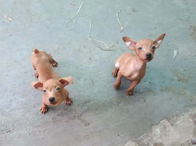 Chữa Trị Tích Nước Xoang Bụng Như Thế Nào?