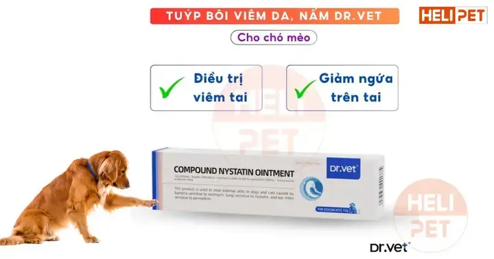 Nguyên Nhân Khiến Ve Ưu Tiên Bám Vào Tai Chó