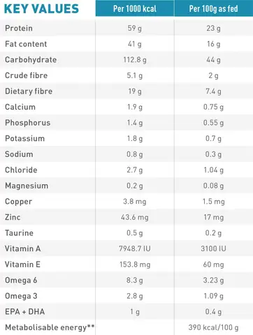 Chó Bị Viêm Nang Lông Chó Bị Viêm Nang Lông