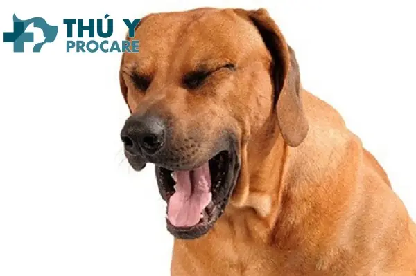 Điều Trị Dựa Trên Nguyên Nhân Gốc Rễ: