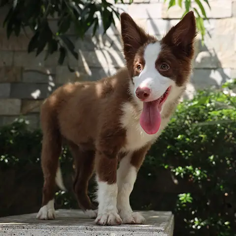 Về Hình Thể Bên Ngoài Về Hình Thể Bên Ngoài