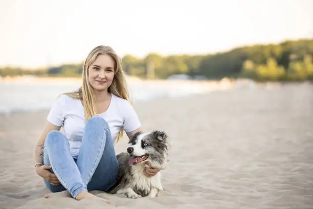 Lời Khuyên Khi Mua Border Collie – Làm Sao Để Chọn Được Chó Thuần Chủng?