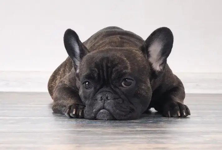 Môi Trường Sống Môi Trường Sống