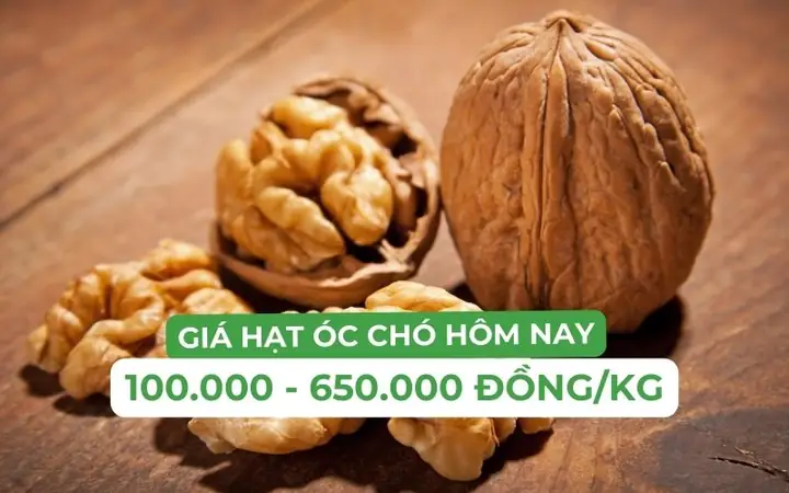 Giá Hạt Óc Chó Bao Nhiêu 1kg? Giá Hạt Óc Chó Bao Nhiêu 1kg?
