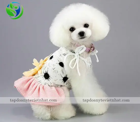 Có Nên Triệt Sản Cho Chó Cái Không?