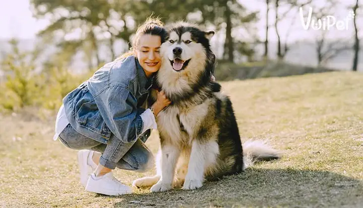 Tìm Kiếm Chó Cảnh Đẹp Và Thông Minh Trên Google? Tìm Kiếm Chó Cảnh Đẹp Và Thông Minh Trên Google?