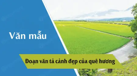 10 Địa Điểm Văn Tả Cảnh Đẹp Quê Hương Em Đáng Để Bạn Khám Phá