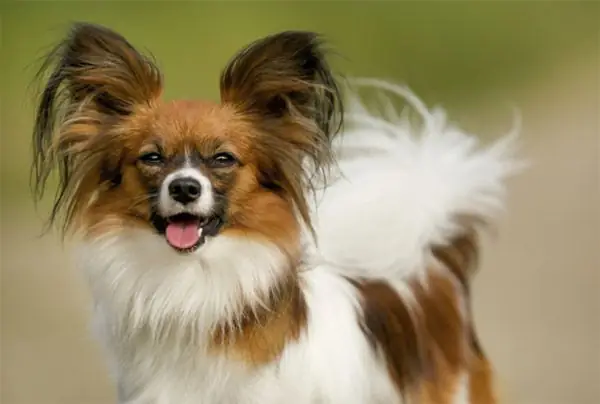 Có Thể Bạn Quan Tâm Có Thể Bạn Quan Tâm