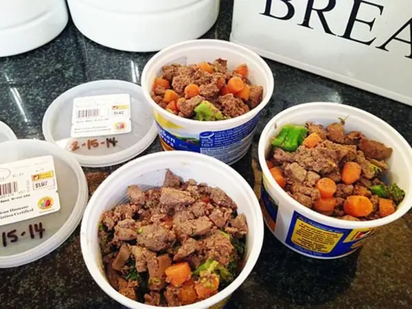 Hãy Lên Kế Hoạch Cho Chó Becgie – Chó Chăn Cừu Ăn Uống Khoa Học Hãy Lên Kế Hoạch Cho Chó Becgie – Chó Chăn Cừu Ăn Uống Khoa Học