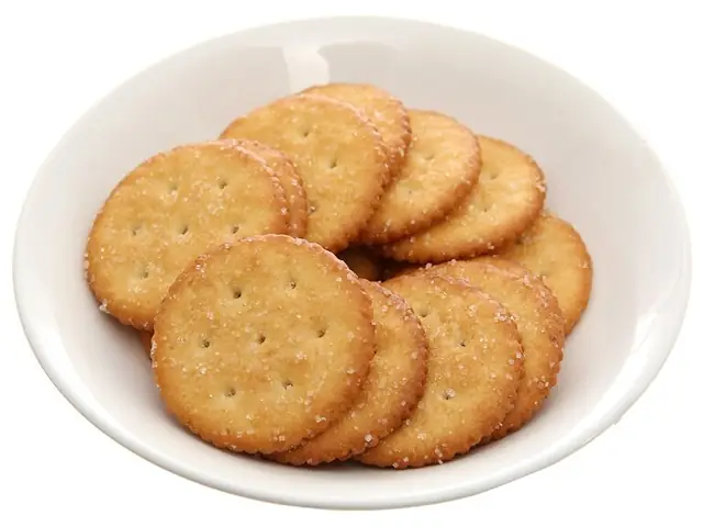 Những Thức Ăn “cấm Kỵ” Với Chó Chihuahua