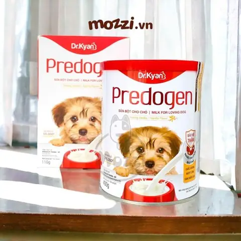 Một Số Lưu Ý Về Chế Độ Dinh Dưỡng Cho Chó Con Mới Đẻ Một Số Lưu Ý Về Chế Độ Dinh Dưỡng Cho Chó Con Mới Đẻ