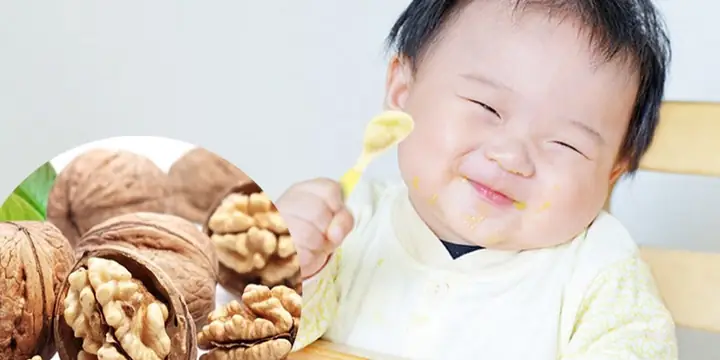 Cho Chó Ăn Gì Để Thông Minh: Hướng Dẫn Dinh Dưỡng Khoa Học Từ Chuyên Gia