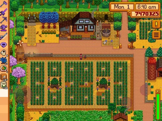 Cho Chó Ăn Hai Lúa Xanh: Có An Toàn Và Tốt Cho Sức Khỏe Của Chúng Không?