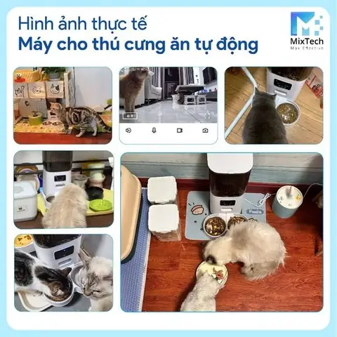 Lưu Ý Khi Sử Dụng Máy Cho Chó Mèo Ăn Tự Động Lưu Ý Khi Sử Dụng Máy Cho Chó Mèo Ăn Tự Động