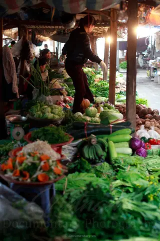 Chợ Chó Hà Nội Ở Đâu? Địa Chỉ Mua Bán Uy Tín & Kinh Nghiệm Chọn Giống Chợ Chó Hà Nội Ở Đâu? Địa Chỉ Mua Bán Uy Tín & Kinh Nghiệm Chọn Giống