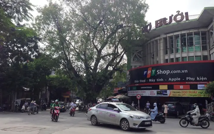 Chợ Chó Hà Nội Ở Đâu Chợ Chó Hà Nội Ở Đâu