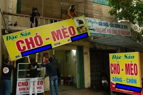 Thăm Dò Các Lò Bắt, Quán Thịt Chó, Shop Mua Bán Chó Thăm Dò Các Lò Bắt, Quán Thịt Chó, Shop Mua Bán Chó
