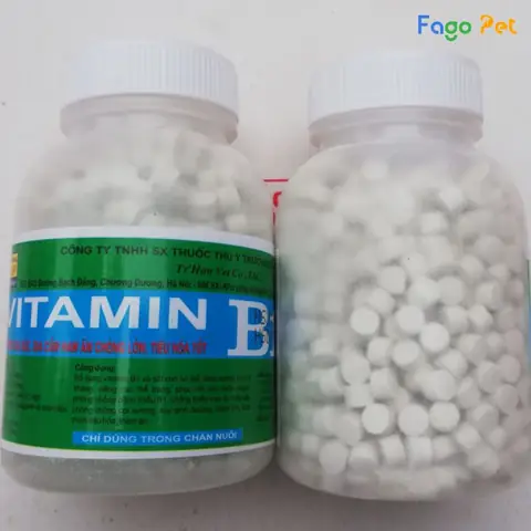 Lợi Ích Của Việc Cho Chó Uống Vitamin B1