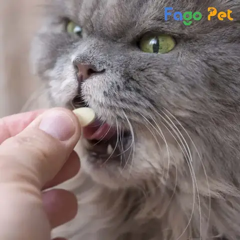 Cho Thú Cưng Uống Đúng Cách