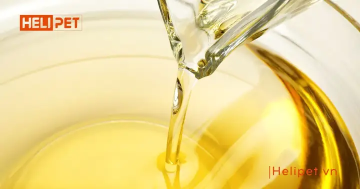 Cung Cấp Dầu Cá Trực Tiếp Cho Chó Cung Cấp Dầu Cá Trực Tiếp Cho Chó