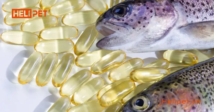 Dầu Cá Cho Chó Có Tác Dụng Gì? Dầu Cá Cho Chó Có Tác Dụng Gì?