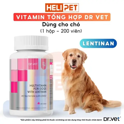 Vitamin Tổng Hợp Cho Chó Dr.vet Chứa Lentinan Vitamin Tổng Hợp Cho Chó Dr.vet Chứa Lentinan