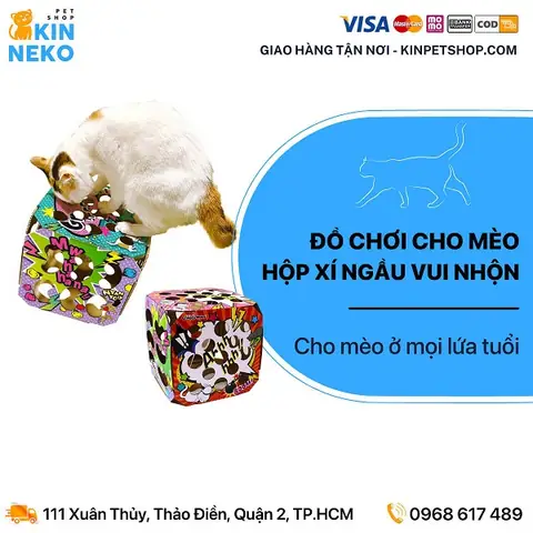 Dịch Vụ Cremation Thú Cưng Uy Tín Nhất Tại Tp.hcm 2025 Dịch Vụ Cremation Thú Cưng Uy Tín Nhất Tại Tp.hcm 2025