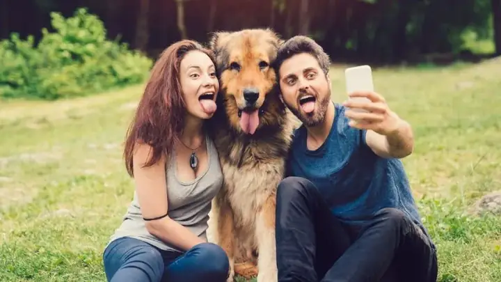 Giá Trị Tinh Thần Đối Với Người Nuôi Giá Trị Tinh Thần Đối Với Người Nuôi