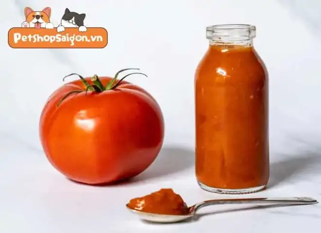 Chó Ăn Tương Cà, Sốt Cà Chua Được Không?