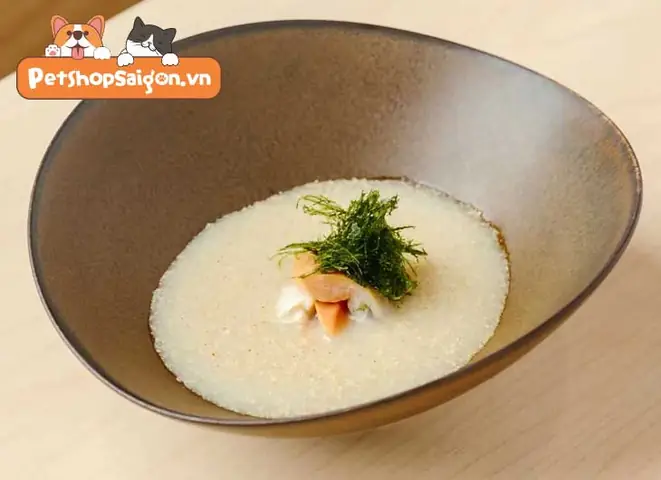 Lợi Ích Khi Cho Chó Con Ăn Cháo Là Gì?