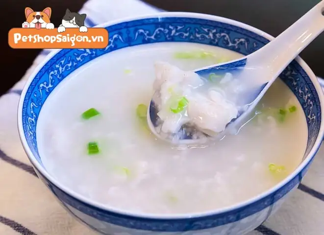 Chó Con Ăn Cháo Được Không?